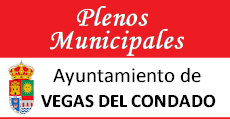 Plenos municipales